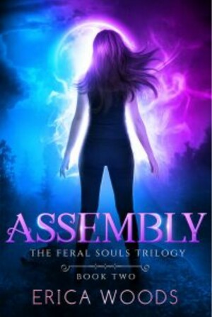 Assembly by Erica Woods
