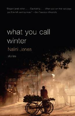 What You Call Winter by Nalini Jones