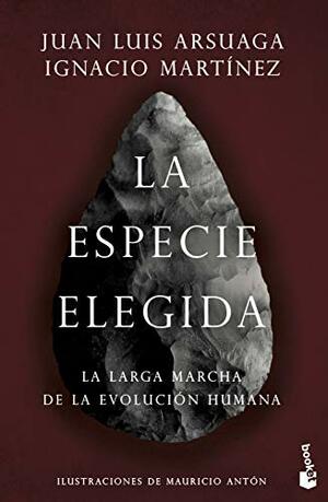 La especie elegida: La larga marcha de la evolución humana (Booket Ciencia) by Juan Luis Arsuaga, Ignacio Martínez