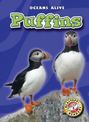 Puffins by Colleen Sexton