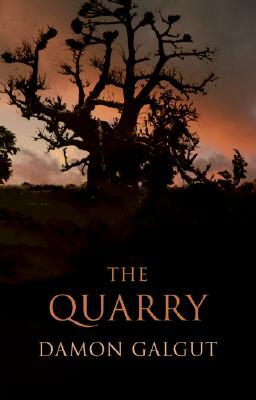 The Quarry by Damon Galgut