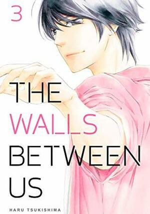 The Walls Between Us, Vol. 3 by Haru Tsukishima