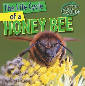 The Life Cycle of a Honeybee by Barbara M. Linde