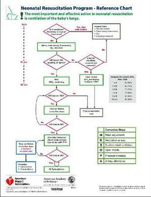 National Resuscitation Program - Reference Chart, Pack of 5 by American Academy of Pediatrics