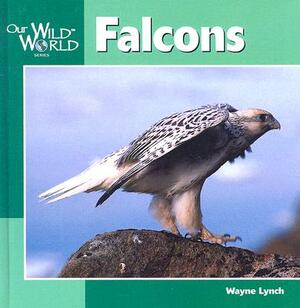 Falcons by Wayne Lynch
