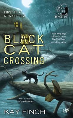 Black Cat Crossing by Kay Finch