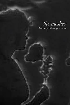 The Meshes by Brittany Billmeyer-Finn