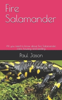 Fire Salamander: All you need to know about Fire Salamander, care, housing and feeding by Paul Jason