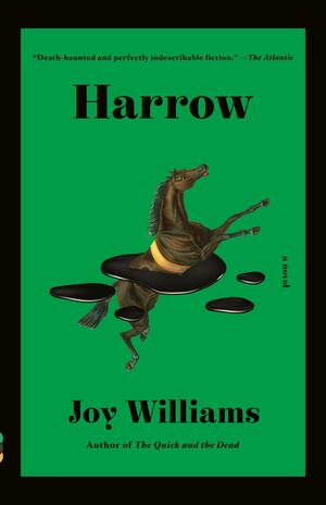 Harrow: A Novel by Joy Williams