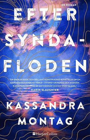 Efter syndafloden by Kassandra Montag