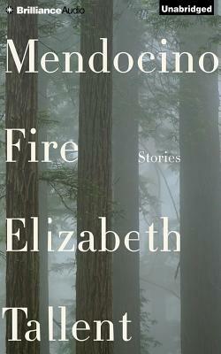 Mendocino Fire: Stories by Elizabeth Tallent