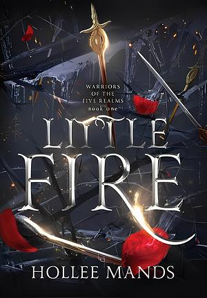 Little Fire by Hollee Mands
