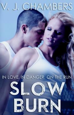 Slow Burn by V. J. Chambers