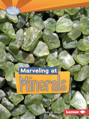 Marveling at Minerals by Sally M. Walker