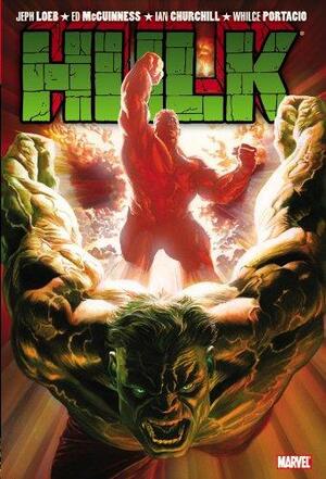 Hulk: Hulk No More by Jeph Loeb, Ian Churchill, Ed McGuinness, Whilce Portacio