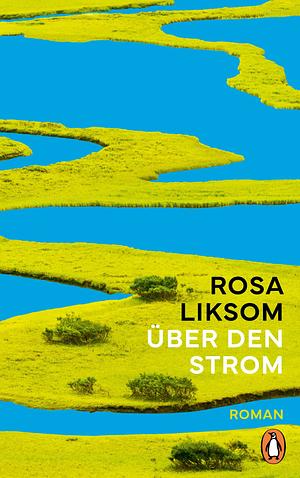 Über den Strom: Roman by Rosa Liksom