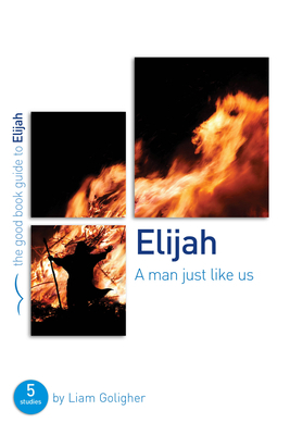 Elijah: A Man Just Like Us: 5 Studies for Individuals or Groups by Liam Goligher