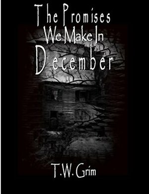 The Promises We Make in December by T.W. Grim