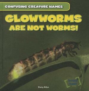 Glowworms Are Not Worms! by Daisy Allyn