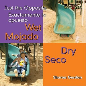 Wet/Dry/Seco/Mojado by Sharon Gordon