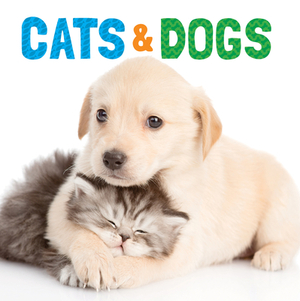 Cats & Dogs by 