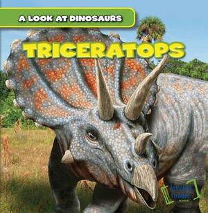 Triceratops by Daisy Allyn