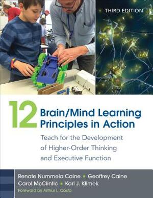 12 Brain/Mind Learning Principles in Action: Teach for the Development of Higher-Order Thinking and Executive Function by Carol Lynn McClintic, Geoffrey Caine, Renate Nummela Caine
