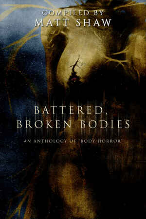 Battered, Broken Bodies: A Horror Anthology based on Body Horror by Matt Shaw