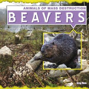 Beavers by Greg Roza