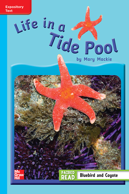 Reading Wonders Leveled Reader Life in a Tide Pool: On-Level Unit 4 Week 3 Grade 3 by 