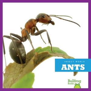 Ants by Mari Schuh