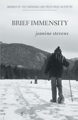 Brief Immensity by Jeanine Stevens