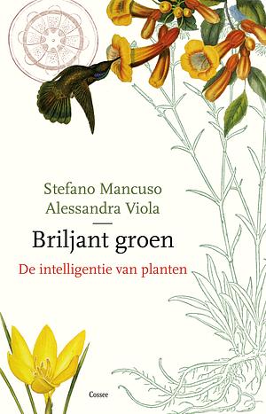 Briljant groen: de intelligentie van planten by Stefano Mancuso, Allessandra Viola