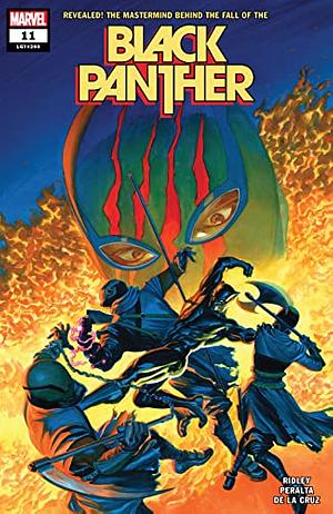 Black Panther #11 by John Ridley