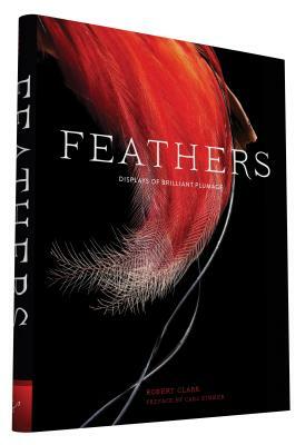 Feathers: Displays of Brilliant Plumage by Robert Clark
