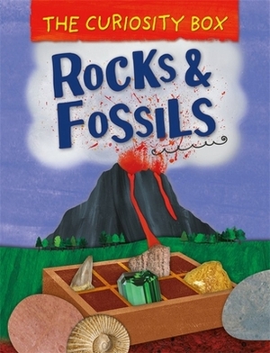 The Curiosity Box: Rocks and Fossils by Peter Riley