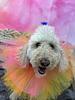 alleyna's profile picture