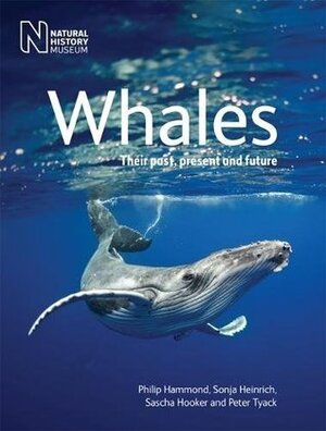 Whales: Their past, present and future by Philip S. Hammond, Peter Tyack, Sascha Hooker, Sonja Heinrich