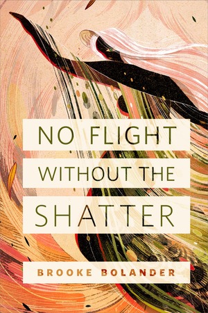 No Flight Without the Shatter by Brooke Bolander