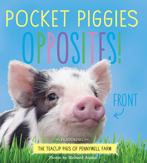 Pocket Piggies Opposites!: Featuring the Teacup Pigs of Pennywell Farm by Richard Austin