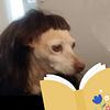 fairiefood's profile picture