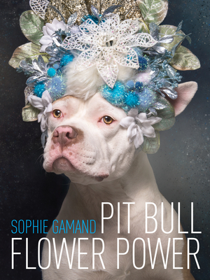 Pit Bull Flower Power by Sophie Gamand