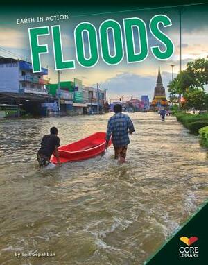 Floods by Lois Sepahban