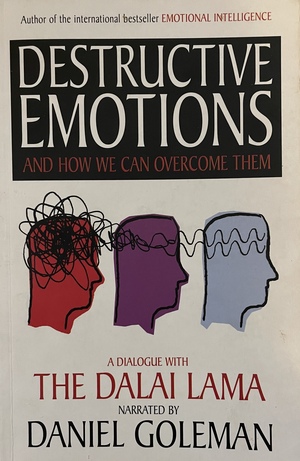 Destructive Emotions by Daniel Goleman