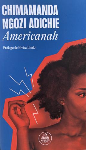 Americanah by Chimamanda Ngozi Adichie