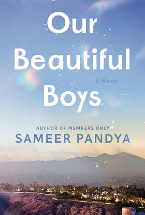 Our Beautiful Boys by Sameer Pandya