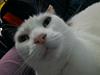 aliccee's profile picture