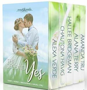 The Second Yes: Five Wedding Dress Christian Romances by Hallee Bridgeman, Alana Terry, Chautona Havig, Amanda Tru, Alexa Verde