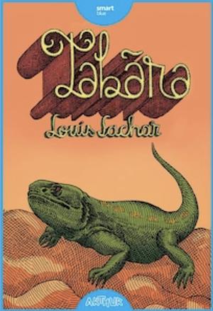 Tabăra by Louis Sachar