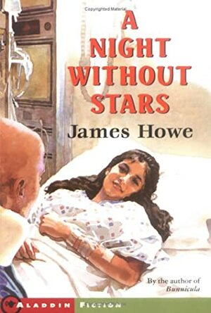A Night Without Stars by James Howe, Leslie H. Morrill